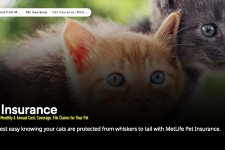 Cat Insurance Monthly & Annual Cost, Coverage, File Claims for Your Pet