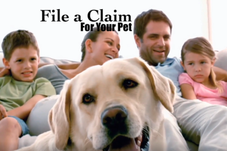 How to File a Claim for Your Cat or Dog Insurance - MetLife Pet